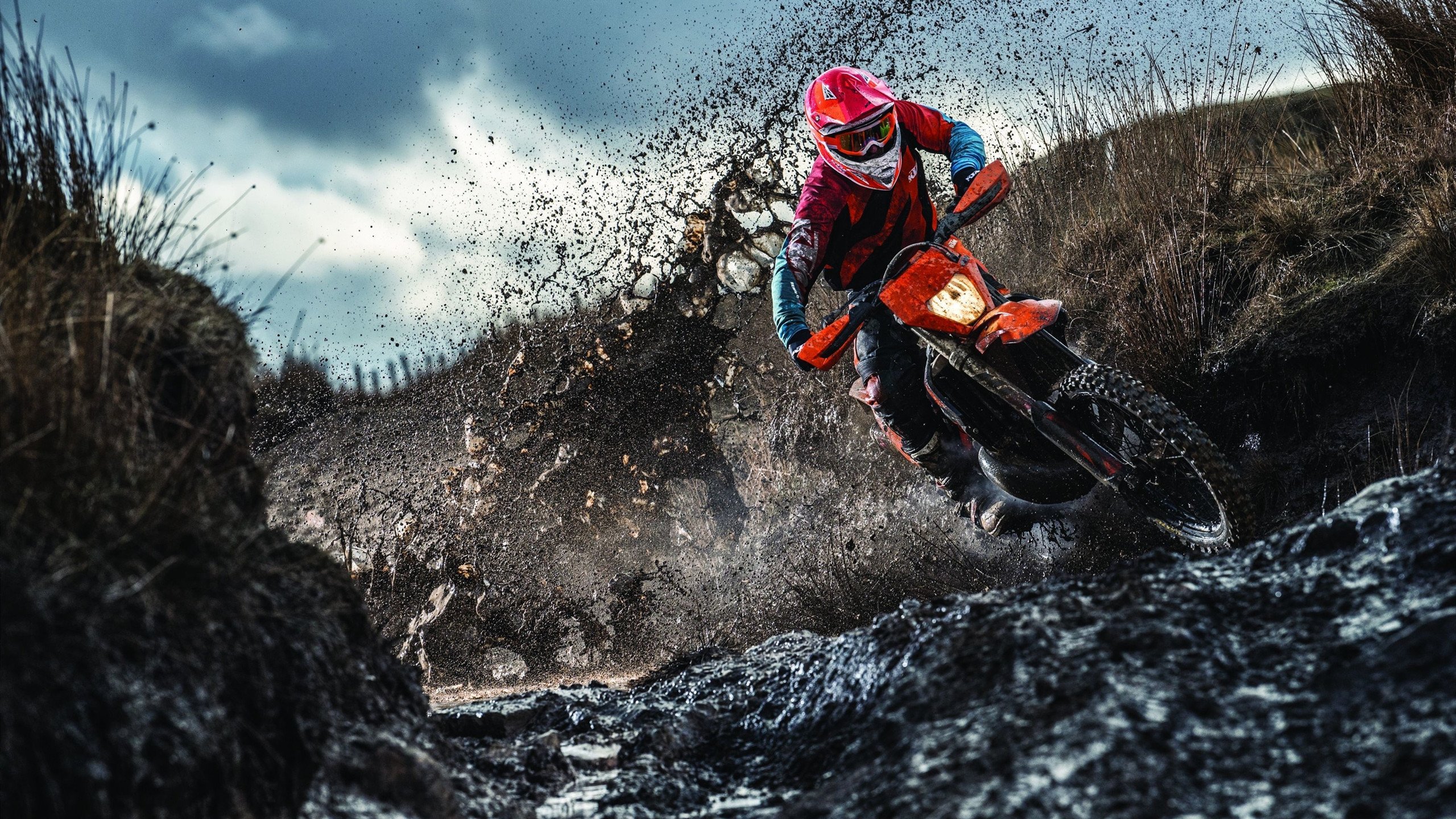 中立代表队B展现顽强拼搏精神