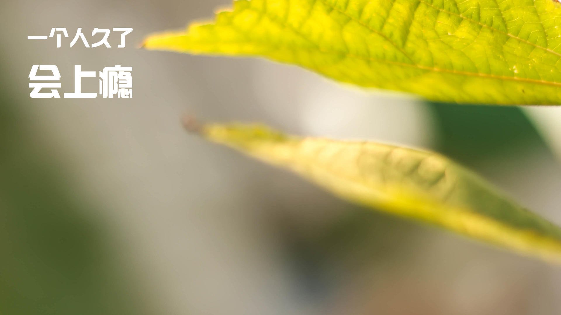 爱游戏体育官方网站-_传统体育振兴计划：传承民族体育文化_，传承民族传统体育文化有哪些