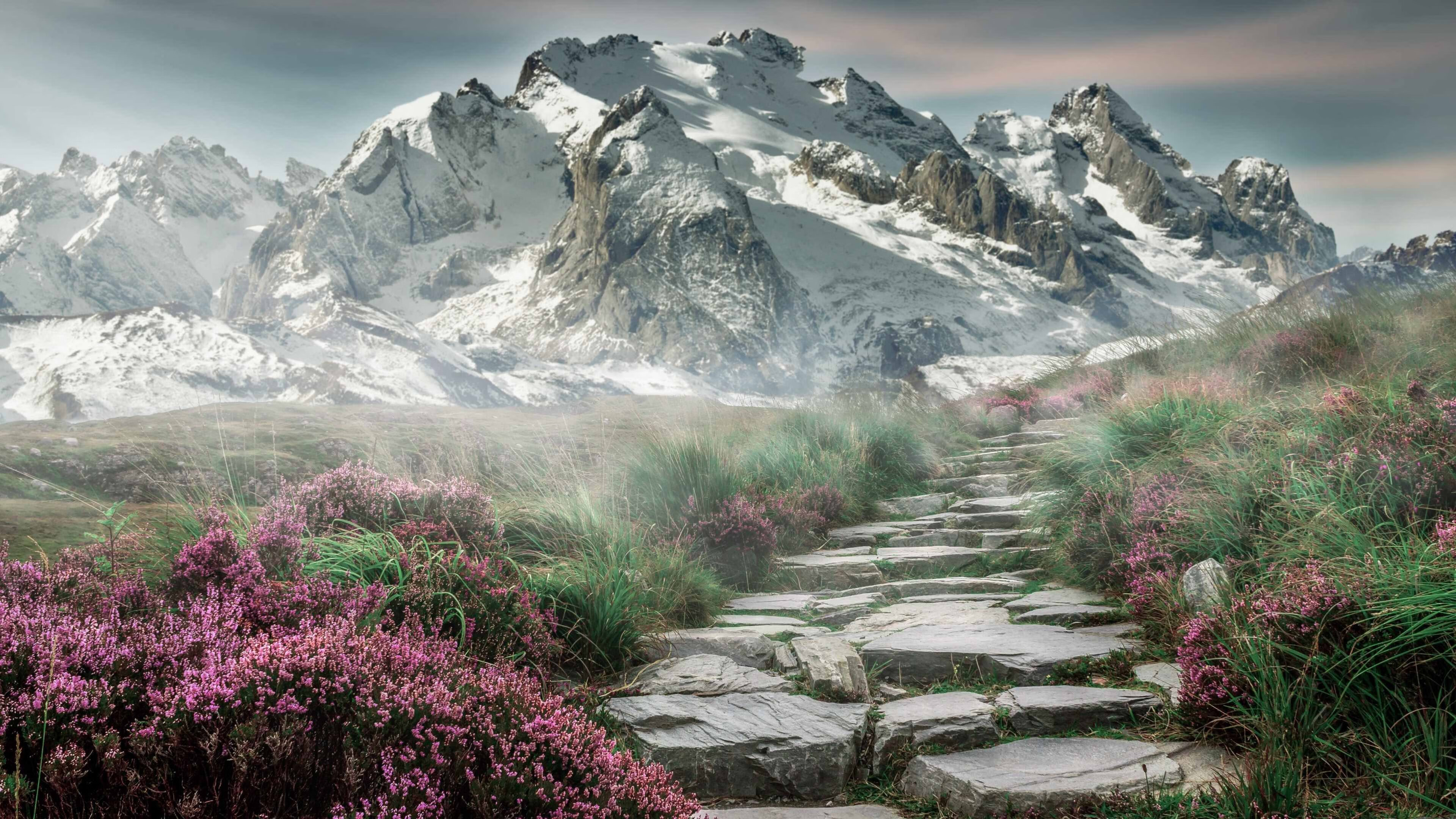 AYX GAMING-_传统体育节：文化与运动的交织盛典_，体育与文化节的意义